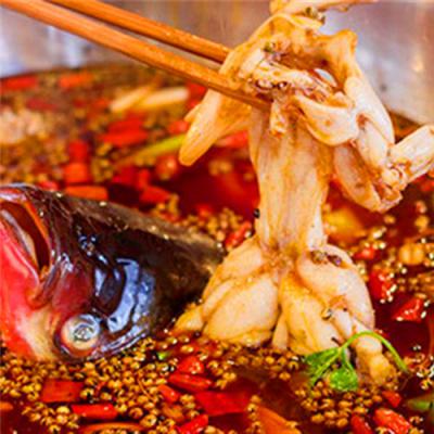 成都美蛙魚頭火鍋技術(shù)培訓(xùn)哪里專業(yè)？多元化的產(chǎn)品