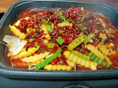 麻辣烤魚(yú)技術(shù)培訓(xùn)學(xué)校哪個(gè)比較好？