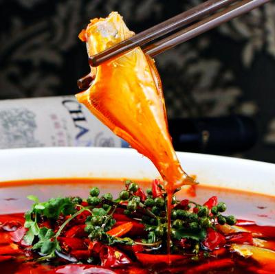 耗兒魚技術(shù)培訓(xùn)在哪里學(xué)？