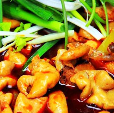 肥腸雞技術(shù)培訓(xùn)要去哪里學(xué)？